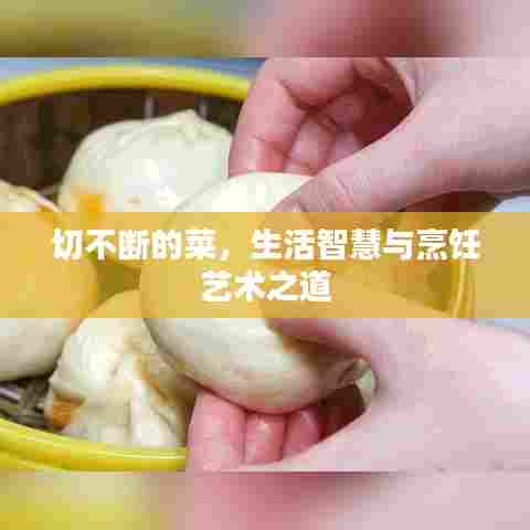 切不断的菜，生活智慧与烹饪艺术之道