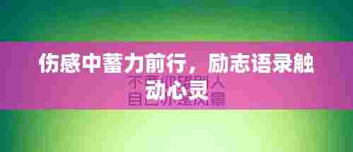伤感中蓄力前行,励志语录触动心灵