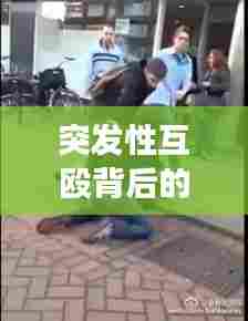 突发性互殴背后的社会现象深度剖析