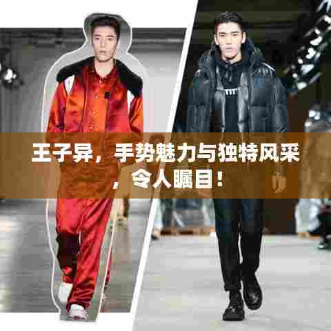 王子异,手势魅力与独特风采,令人瞩目!