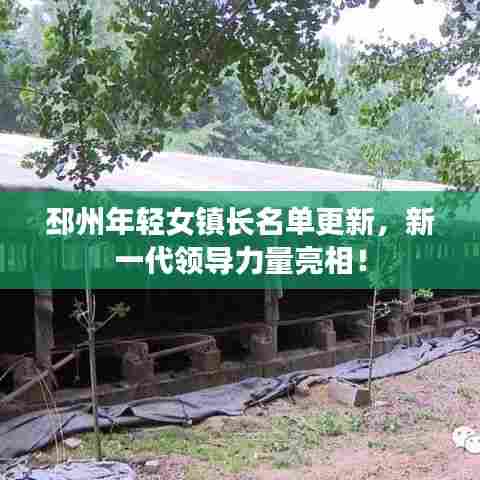 邳州年轻女镇长名单更新,新一代领导力量亮相!