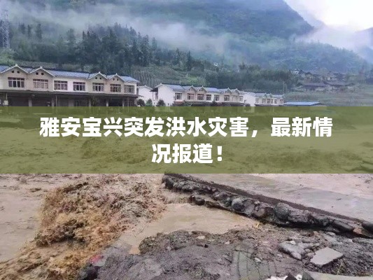 雅安宝兴突发洪水灾害，最新情况报道！