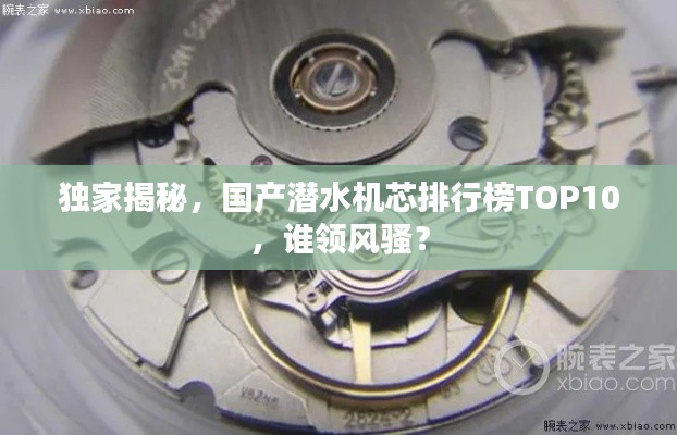 独家揭秘,国产潜水机芯排行榜TOP10,谁领风骚?