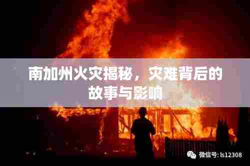 南加州火灾揭秘,灾难背后的故事与影响