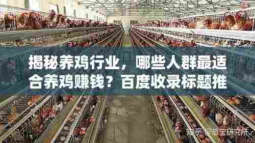 揭秘养鸡行业,哪些人群最适合养鸡赚钱?百度收录标题推荐