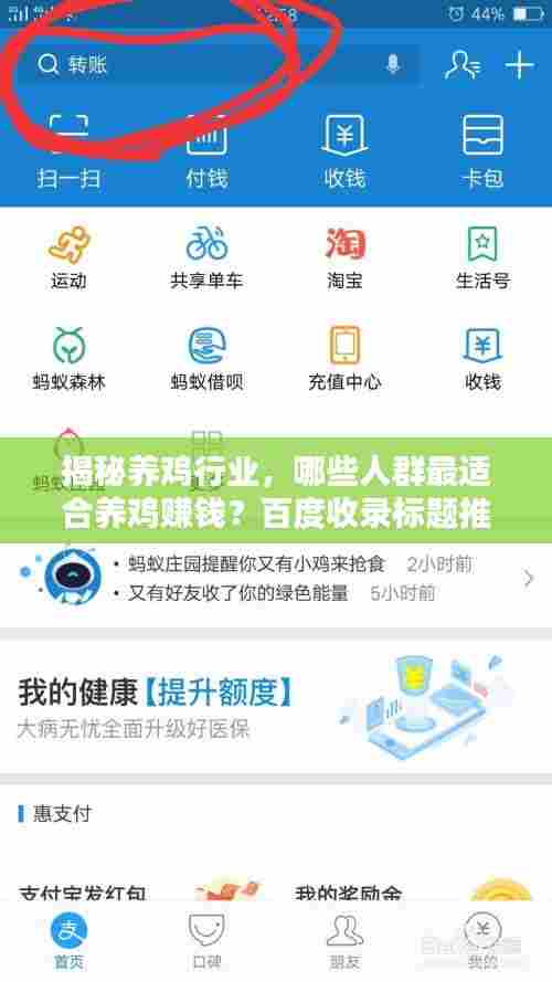 揭秘养鸡行业,哪些人群最适合养鸡赚钱?百度收录标题推荐