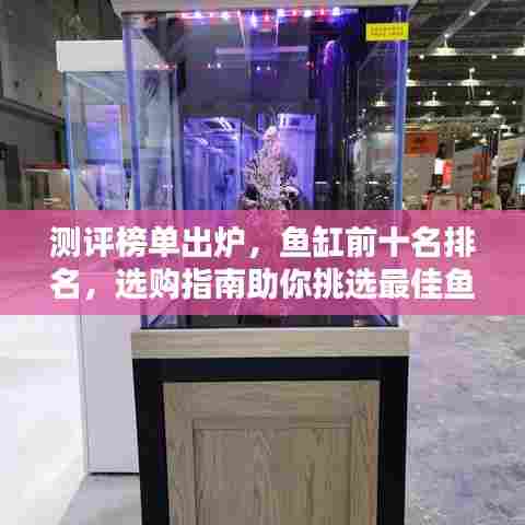 测评榜单出炉,鱼缸前十名排名,选购指南助你挑选最佳鱼缸