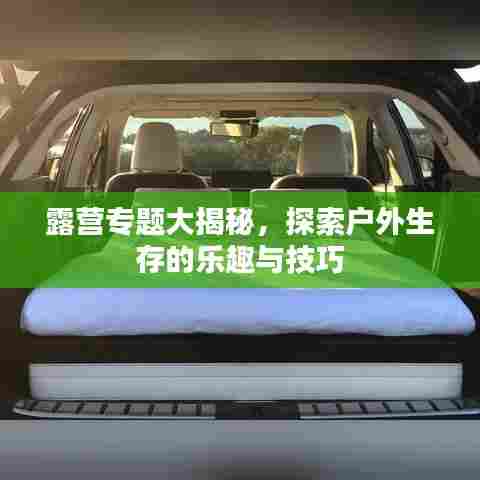 露营专题大揭秘,探索户外生存的乐趣与技巧