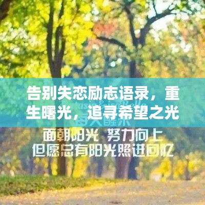告别失恋励志语录,重生曙光,追寻希望之光