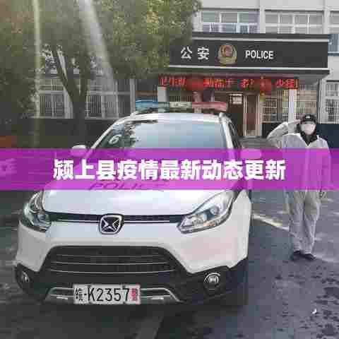 颍上县疫情最新动态更新