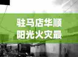 物稀为贵 第6页