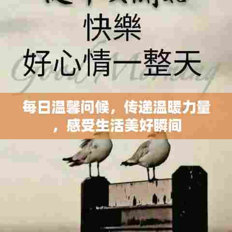 每日温馨问候，传递温暖力量，感受生活美好瞬间