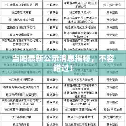 当阳最新公示消息揭秘,不容错过!