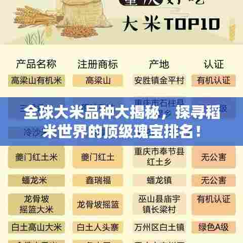 全球大米品种大揭秘，探寻稻米世界的顶级瑰宝排名！