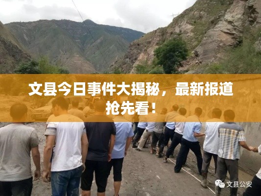 文县今日事件大揭秘,最新报道抢先看!