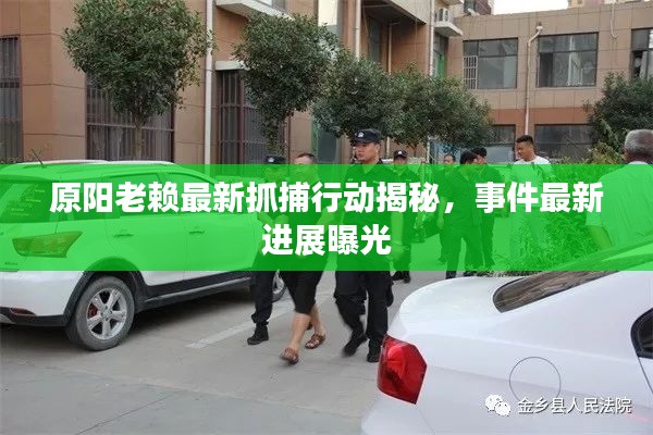 原阳老赖最新抓捕行动揭秘,事件最新进展曝光