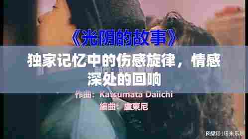 独家记忆中的伤感旋律,情感深处的回响