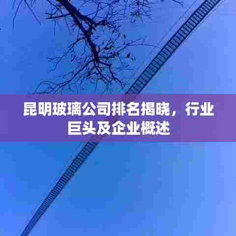 昆明玻璃公司排名揭晓,行业巨头及企业概述