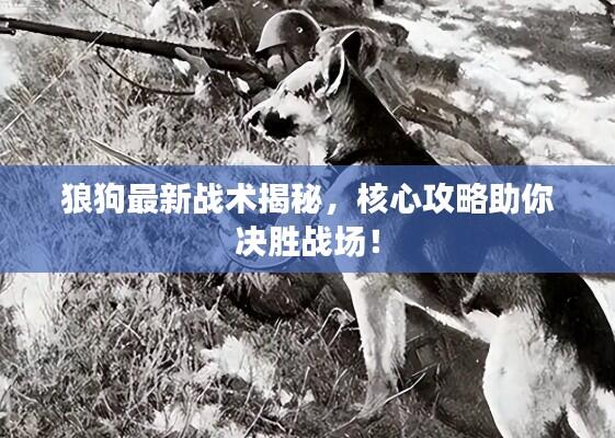 狼狗最新战术揭秘，核心攻略助你决胜战场！