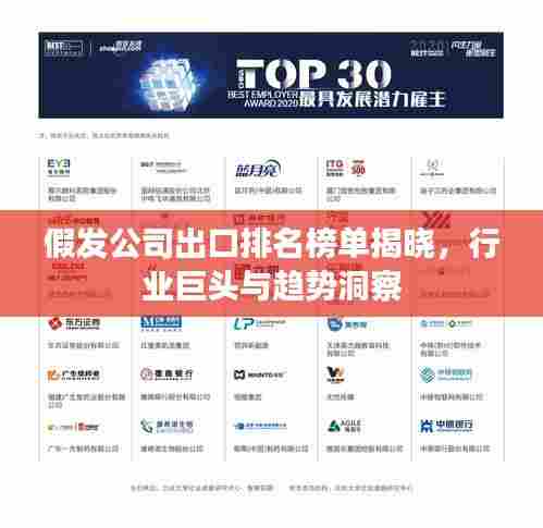 假发公司出口排名榜单揭晓,行业巨头与趋势洞察