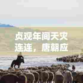 贞观年间天灾连连,唐朝应对之策与挑战之路探索