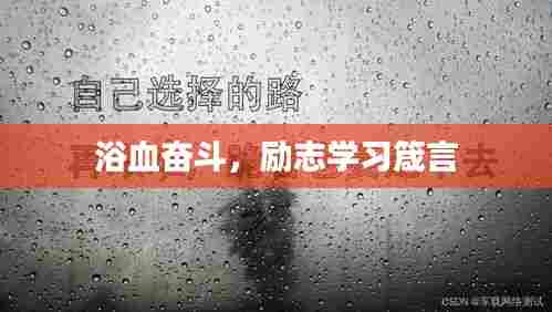 浴血奋斗,励志学习箴言