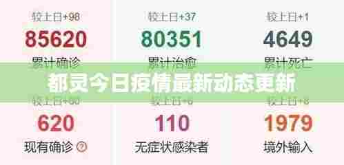 都灵今日疫情最新动态更新