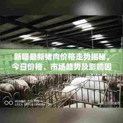 新疆最新猪肉价格走势揭秘,今日价格、市场趋势及影响因素分析