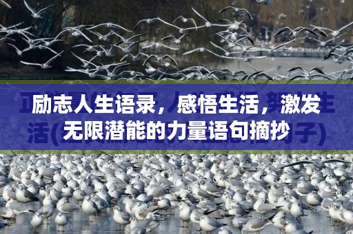 励志人生语录,感悟生活,激发无限潜能的力量语句摘抄