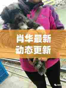 肖华最新动态更新,今日消息一网打尽!