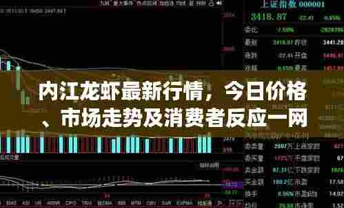 内江龙虾最新行情,今日价格、市场走势及消费者反应一网打尽