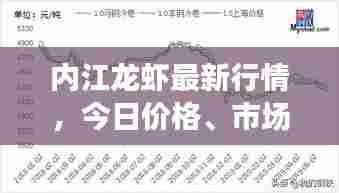 内江龙虾最新行情,今日价格、市场走势及消费者反应一网打尽