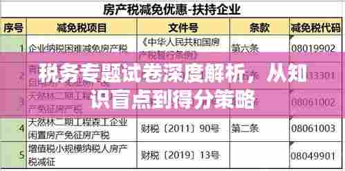税务专题试卷深度解析,从知识盲点到得分策略
