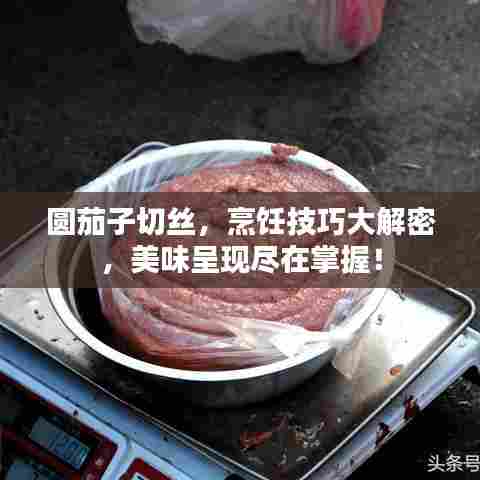 圆茄子切丝,烹饪技巧大解密,美味呈现尽在掌握!