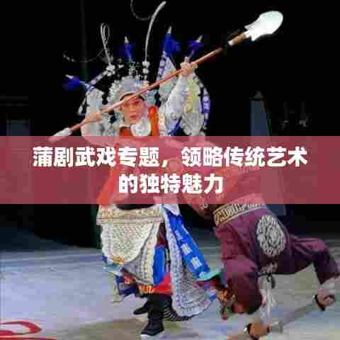 蒲剧武戏专题，领略传统艺术的独特魅力