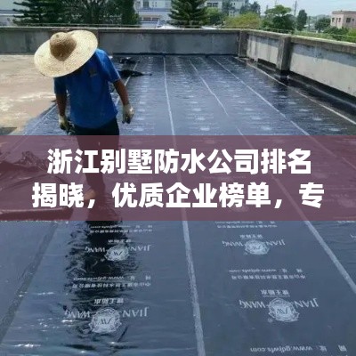 浙江别墅防水公司排名揭晓,优质企业榜单,专业防水工程首选!