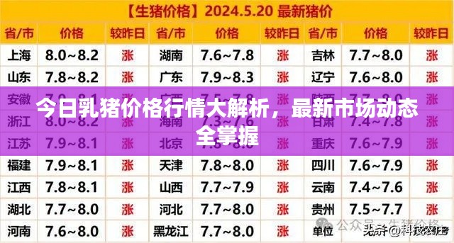 今日乳猪价格行情大解析,最新市场动态全掌握