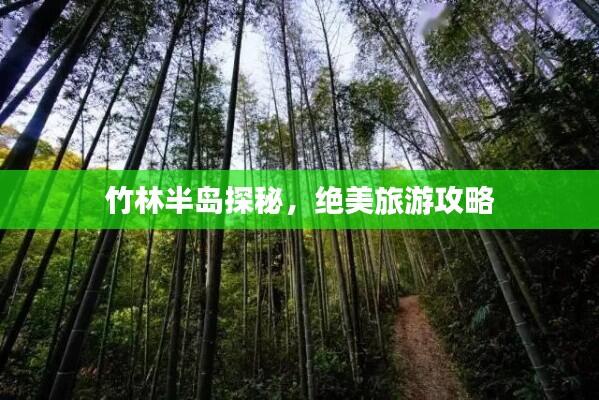 竹林半岛探秘,绝美旅游攻略