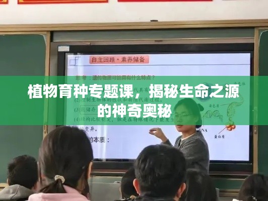 植物育种专题课,揭秘生命之源的神奇奥秘
