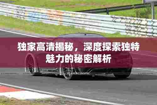 独家高清揭秘,深度探索独特魅力的秘密解析