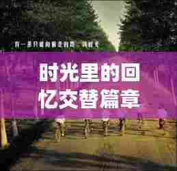 时光里的回忆交替篇章