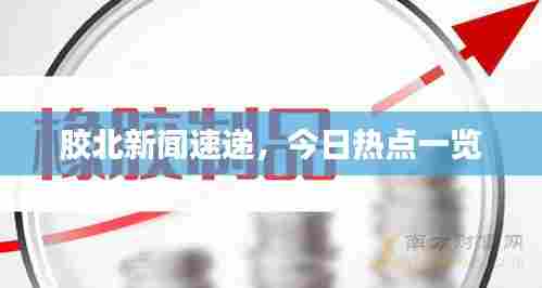 胶北新闻速递,今日热点一览