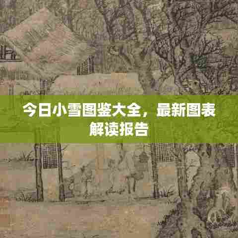 今日小雪图鉴大全,最新图表解读报告