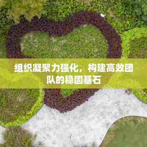 组织凝聚力强化，构建高效团队的稳固基石