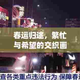 春运归途，繁忙与希望的交织画卷