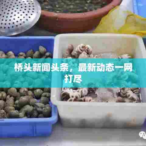 桥头新闻头条，最新动态一网打尽