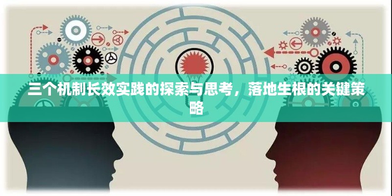 三个机制长效实践的探索与思考,落地生根的关键策略