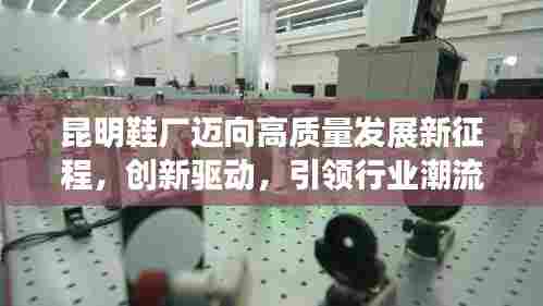 昆明鞋厂迈向高质量发展新征程,创新驱动,引领行业潮流