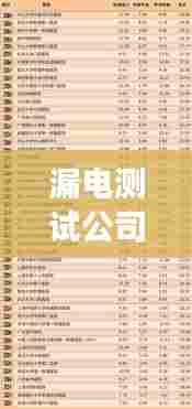 漏电测试公司排名揭晓，行业影响力榜单重磅出炉！