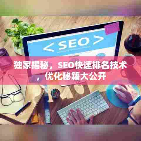 独家揭秘,SEO快速排名技术,优化秘籍大公开